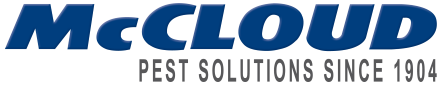 McCloud Services